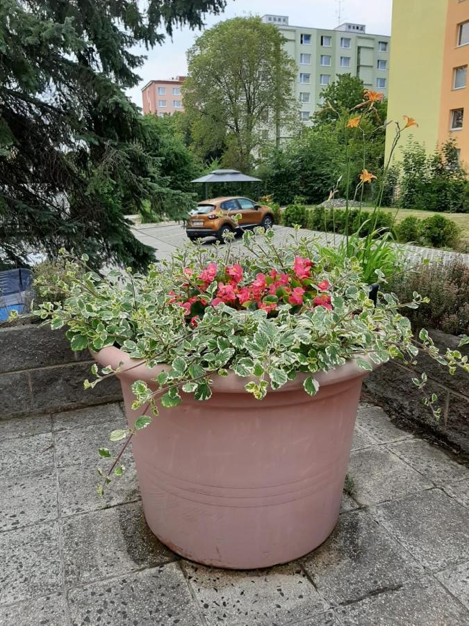 Zluty Apartman A6 V Chomutove Apartment Luaran gambar